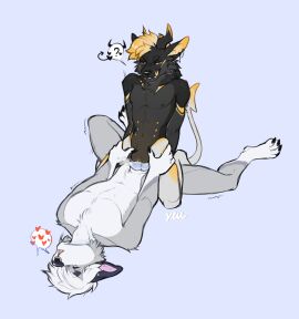 anthro black_body black_fur blue_penis canid canine cowgirl_position cuntboy duo female from_front_position fur genitals grey_body grey_fur hair heart_symbol hi_res horn hybrid intersex intersex/male male mammal markings on_bottom on_top orange_hair orange_markings penetration penile penile_penetration penis pussy rentalgf sex shaking_legs spade_tail speech_bubble steam tail tongue tongue_out vaginal_penetration white_hair