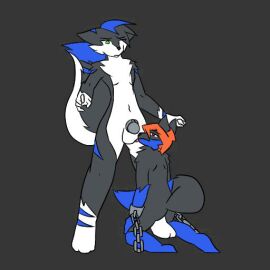 anthro balls bondage bound canid canine canis chastity_cage chastity_device duo fox foxyes genitals male male/male mammal nude restrained restraints tail tongue wolf