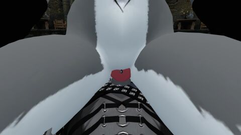 1boy 1girls anthro big_penis cock female female_on_top furry furry_female furry_only knot knotting male male/female male_penetrating male_penetrating_female penis pussy sex tattoo tattoo_on_belly vaginal_penetration vaginal_sex vrchat vrchat_avatar vrchat_model