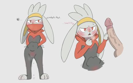 blush female male male_human/female_pokemon penis pheroviran pokemon pokemon_(species) rabbifuto raboot