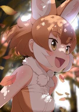 :d animal_ear_fluff animal_ears autumn autumn_leaves bangs bare_arms bare_shoulders blurry blurry_background blush bow bowtie breasts brown_eyes brown_hair brown_shirt clothing day dhole_(kemono_friends) dog_ears dog_girl dog_tail falling_leaves female gloves high_resolution kemono_friends kemono_friends_v_project large_filesize leaf light_brown_hair looking_at_viewer looking_away masuyama_ryou medium_breasts multi_ear multicolored_hair neckwear non-nude open-mouth_smile open_mouth outdoors shirt short_hair sidelocks sleeveless sleeveless_shirt smile solo sunlight tail tree two-tone_hair upper_body very_high_resolution virtual_youtuber white_bow white_bowtie white_hair white_neckwear white_shirt yellow_eyes