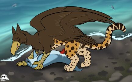absurd_res artist_logo avian balls beach beak belo_(fischie) bodily_fluids bottlenose_dolphin brown_body brown_feathers cetacean cheiss cum cum_in_pussy cum_inside dolphin duo_focus erection feathered_wings feathers feet female female_feral female_penetrated feral feral_on_feral feral_penetrated feral_penetrating feral_penetrating_feral flippin-rad from_front_position fur genital_fluids genitals group gryphon hi_res interspecies knot logo lying male male/female male_feral male_penetrating male_penetrating_female mammal marine markings mythological_avian mythological_creature mythology oceanic_dolphin on_back penetration penile penile_penetration penis penis_in_pussy pussy quadruped retractable_claws sea sex spots spotted_body spotted_fur talons toes tongue tongue_out toothed_whale vaginal_penetration water wings