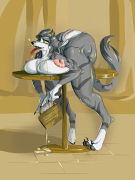 3:4 4_toes anthro backbend canid feet female flexible fur genitals green_eyes grey_body grey_ears grey_fur grey_tail gyy mammal nude pussy solo tail toes tyy