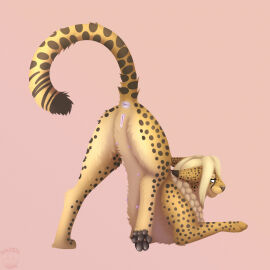 animal_genitalia animal_pussy anus black_paws black_spots blonde_hair blue_eyes braided_hair cheetah felid feline feline_genitalia feline_pussy female fur genitals hair hi_res long_hair mammal nauticalcanine nipples original_character pink_anus pink_nipples pink_pussy pussy solo solo_focus spots yellow_body yellow_fur