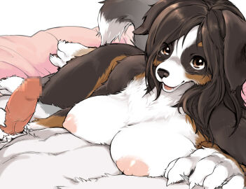 1boy animal_feet anthro body_fur breasts brown_eyes brown_fur brown_hair canid canine canis claws commentary_request dog_girl domestic_dog erection female furry furry_female hand_on_another's_chest handjob kikurage_(crayon_arts) large_breasts long_hair looking_at_viewer male original penis pov short_hair straight tail white_background white_fur
