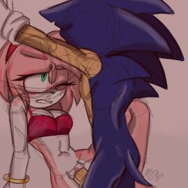amy_rose murodron sonic_(series) sonic_the_hedgehog sonic_the_hedgehog_(series)