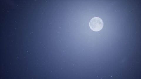 black_screen_roulette horse sincara sound tagme video wildlife_(video_game)