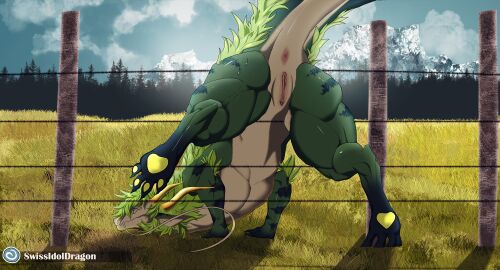 anus balls bodily_fluids dragon feet female fence feral field field_background foot_focus fur genitals hair hi_res horn looking_at_viewer male mythological_creature mythological_scalie mythology pawpads paws presenting presenting_anus presenting_pussy pussy scalie solo stuck sweat vitor_swissidoldragon