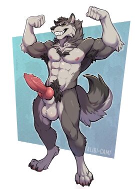 abs alibi-cami animal_genitalia animal_penis anthro armpit_hair balls big_balls big_penis black_nose body_hair canid canine canine_genitalia canine_penis canis erection fangs flexing fur genitals grey_body grey_fur grin hi_res knot knotted_penis magnus_(alibi-cami) male mammal muscular muscular_anthro muscular_male navel nipples nude nude_anthro nude_male penis pubes smile solo tail teeth wolf