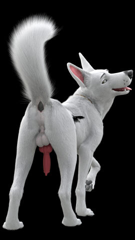 3d_(artwork) absurd_res animal_genitalia animal_penis anus backsack balls black_background bolt_(bolt) bolt_(film) canid canine canine_genitalia canine_penis canis digital_media_(artwork) disney domestic_dog feral feral_only genitals german_shepherd herding_dog hi_res looking_back male male_only mammal pastoral_dog penis presenting presenting_anus redneck_redoubt simple_background smile solo tongue tongue_out