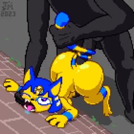 animal_crossing ankha ankha_(animal_crossing) anthro anthro_penetrated big_ass big_breasts doggy furry pixel_animation pixel_art plap rough_sex tagme toilet_man video