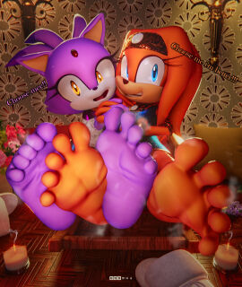 3d 3d_model 5_toes 699mha anthro barefoot blaze_the_cat clothed clothing digital_media_(artwork) duo feet female foot_fetish foot_focus hi_res humanoid_feet looking_at_viewer mobian mobian_(species) mobian_echidna plantigrade sega soles sonic_(series) sonic_adventure sonic_the_hedgehog_(series) talking_to_viewer tikal_the_echidna toes