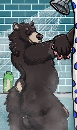 absurd_res anthro apawcalyptic ass balls bathing bear black_bear detailed_background digital_media_(artwork) ender ender_cooper fivespot fur genitals guiche_piercing happy hi_res humanoid_genitalia humanoid_penis male mammal nude penis piercing raised_tail shower showering smile solo tail tailtufts ursine water wet