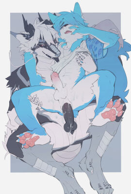 anal anal_sex anthro arm_tuft ass balls black_nose black_sclera blue_body blue_eyes bottomless bottomless_male canid canine canis claws clothed clothing countershading dipstick_ears dragon duo ear_markings elbow_tuft eyebrows feathered_ears finger_claws genitals grey_body hi_res juo1 knot looking_at_another looking_at_partner male male/male mammal multicolored_ears mythological_creature mythological_scalie mythology narrowed_eyebrows narrowed_eyes navel open_mouth pawpads peek-a-boo_bang penetration penile penile_penetration penis penis_in_ass pink_pawpads scalie sex sitting spread_legs spreading thick_eyebrows toe_claws tuft white_body white_countershading wolf