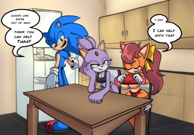 biting_own_lip blaze_the_cat blue_fur blush breasts brown_fur brown_hair dialogue feline female gloves hedgehog kitchen lifting_shirt manx manx_cat milk panties polyamory ponytail purple_body purple_fur refrigerator seductive seductive_look sega slippers sonic_(series) sonic_the_hedgehog sonic_the_hedgehog_(series) sonic_x-treme tiara_boobowski underboob underwear xao_art