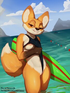 anthro areola biped black_nose breasts brown_body brown_eyes canid canine clothing cloud detailed_background female fox fur genitals looking_at_viewer lucy_(sniffsnorf) mammal mountain multicolored_body multicolored_fur multicolored_tail one-piece_swimsuit orange_body orange_fur outside public public_exposure pussy pussy_floss sea sniffsnorf solo surfboard swimwear tail water white_body white_fur