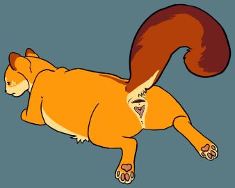 animal_genitalia anus ass domestic_cat feet felid feline felis female feral fogcloud genitals mammal pawpads paws presenting presenting_anus presenting_hindquarters presenting_pussy presenting_vulva pussy raised_tail solo squirrelstar_(warriors) tail tired_expression vulva warriors_(book_series)