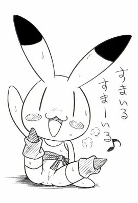 Image: 2419843