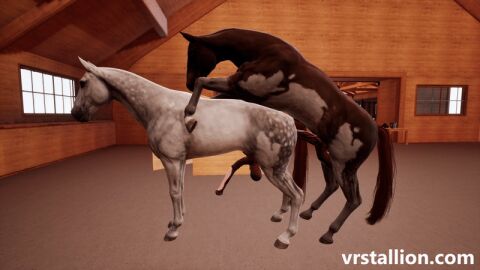 2animals 3d 3d_animation anal anal_sex animal_genitalia animal_penis animated aroused aroused_male balls ballsack barn big_balls big_penis bred breeding cock equine equine_balls equine_genitalia equine_penis erect_penis erection feral feral_focus feral_on_feral feral_only feral_penetrating game game_cg gay gay_anal gay_male gay_sex hanging_balls hard_cock horse horse_penis horseballs horsecock huge_balls huge_cock large_balls large_penis male male/male male_penetrated male_penetrating male_penetrating_male mounted mounting original original_character penetration penis penis_in_ass stallion stretched_anus stretching stretching_anus veiny_penis video video_game video_game_character video_games virtual_reality vr vrstallion zoophilia