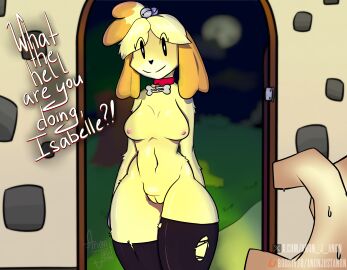 2024 absurd_res accessory ambiguous_gender animal_crossing anonjustanon anthro anthro_focus big_breasts black_clothing black_eyes black_legwear black_nose black_stockings blonde_hair bodily_fluids breasts canid canine canis clothing collar dialogue disembodied_hand domestic_dog doorway english_text faceless_ambiguous faceless_character faceless_human female female_focus first_person_view fur hair hair_accessory hi_res human human_pov inside isabelle_(animal_crossing) legwear looking_at_viewer mammal mostly_nude nintendo nipples orange_body orange_fur orange_hair pink_nipples red_collar shih_tzu smile solo_focus stockings sweat text thick_thighs torn_clothing torn_legwear torn_stockings toy_dog vulva yellow_body yellow_fur