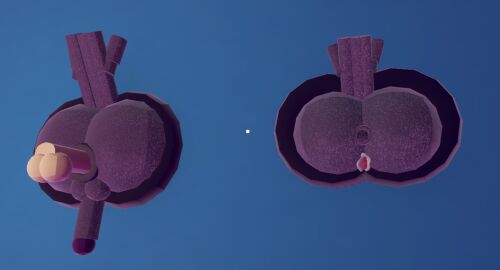 3d anal anal_sex anthro anus avian both_sexes_in_same_situation disembodied_penis donut_anus father_and_daughter feathers female game_cg game_screenshot gay helluva_boss human_on_anthro imminent_sex male octavia_(helluva_boss) owl owl_demon penis presenting_anus presenting_hindquarters presenting_pussy purple_fur pussy recroom recroom-nsfw stolas_(helluva_boss) stuck stuck_in_wall tail through_wall