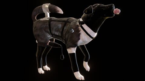 16:9 balls canid canine canis clothing cuff_(restraint) dildo dildo_insertion domestic_dog feral fleshlight_position footwear genitals harness headgear headwear hi_res hood knot knotted_penis latex latex_clothing latex_condom latex_footwear latex_headwear latex_hood latex_socks male male/male mammal paws penis restraints sex_toy sex_toy_insertion socks tail tail_cuff widescreen