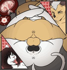 1girls animated anthro bodily_fluids cum cum_in_pussy cum_in_uterus cum_inside domestic_cat dragon duo european_mythology felid feline felis female genital_fluids gif hi_res impregnation internal internal_cumshot internal_vaginal internal_view internallydusk knot knot_fucking knotting kyzzer loop male male/female mammal mating_press mythological_creature mythological_scalie mythology ovum pussy scalie uterus vaginal_knotting western_dragon