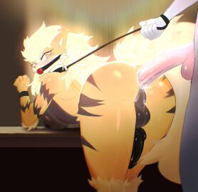 2024 5_fingers anal anal_sex anthro anthro_focus anthro_penetrated anthrofied anus arcanine areola arm_tuft ass ball_gag balls bent_over big_penis bittersyrup black_areola black_balls black_body black_breasts black_collar black_fur black_leash black_nipples black_nose black_penis black_stripes blush blush_lines bodily_fluids body_part_in_ass breasts brown_eyes cheek_tuft collar cum cum_from_ass cum_in_ass cum_inside cum_on_own_penis cum_on_penis cum_on_self cum_string digital_media_(artwork) duo elbow_tuft erection eyebrows eyelashes facial_tuft fingers from_behind from_behind_position fur futa/male futa_focus futa_on_human futa_penetrated futanari gag generation_1_pokemon genital_fluids genitals hi_res holding_leash holding_object human human_on_anthro human_penetrating human_penetrating_anthro human_penetrating_futa human_penetrating_intersex intersex intersex/male intersex_focus intersex_on_human intersex_penetrated interspecies leash leash_pull light-skinned_male light_skin looking_back male male_on_anthro male_on_futa male_penetrating male_penetrating_anthro male_penetrating_futa male_penetrating_intersex mammal multicolored_body multicolored_fur nintendo nipples nude orange_body orange_fur penetration penile penile_penetration penis penis_in_ass pokemon pokemon_(species) pokemorph pokephilia rear_view red_ball_gag sex shoulder_tuft side_boob solo_focus sparkles stripes tail tail_aside tuft yellow_body yellow_fur yellow_tail