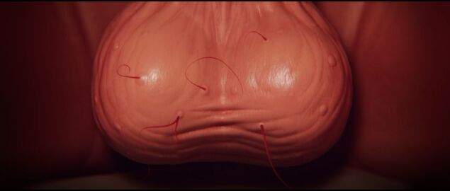 1boy 3d balls balls_only big_balls cgi close_up close_up_balls hairy_balls jens_(spermageddon) male official_art pubic_hair red_hair red_pubic_hair screencap screenshot spermageddon testicles