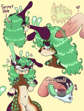 absurd_res ahe_gao alien aliendogfreak antennae_(anatomy) anthro big_ears bodily_fluids bone brain_penetration canid canine cum cum_in_brain cum_in_ear cum_inside cuntboy disembodied_penis genitals green_eyes green_hair green_spots hair hi_res intersex lucky_(aliendogfreak) male mammal penetration penis skull skull_fucking solo_focus spots trans_man x-ray_view