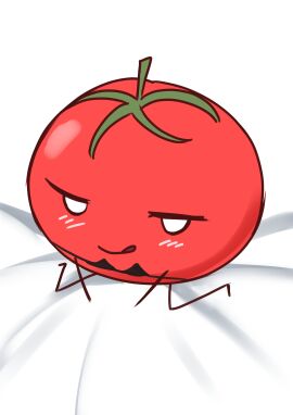 2024 absurd_res bed bed_sheet bedding blush bra clothing digital_media_(artwork) dokibird dokibird_(true_form) elemental_creature female feral flora_fauna food food_creature fruit furniture hi_res indie_virtual_youtuber licking licking_lips lingerie living_fruit meme not_porn plant red_body smug solo teasing teasing_viewer tomato tongue underwear virtual_youtuber vtuber xanadu_avici xanaduavici