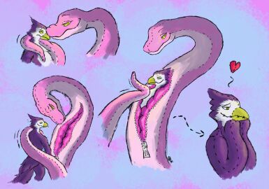 absurd_res after_transformation ambiguous_gender animate_inanimate anthro avian beak bird coiling duo feathers feral hi_res huge_filesize hypnosis living_plushie male mind_control nude pink_body plush_transformation plushie plushie_vore plushification purple_body reptile scalie sequence simple_background size_difference snake spiral spiral_eyes sqwkr stitch_(sewing) tail transformation unwilling_to_willing unwilling_to_willing_prey vore willing_prey zipper