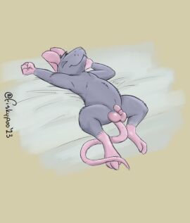 animal_humanoid balls bed fisk24 fisky_(fisk24) flaccid furniture genitals hi_res humanoid humanoid_genitalia humanoid_penis lying male mammal mammal_humanoid murid murine nude nude_anthro nude_male on_back on_bed penis rat rodent rodent_humanoid rodent_tail saggy_balls