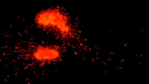 2025 animated ass breasts female hentai_series japanese_voice_acting male sex sound tagme thighhighs trailer video