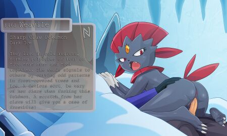 1boy 1girls anthro anthro_on_human anus artist_logo ass back_view black_body claws clothed clothed_sex clothing collar duo english_text eyelashes faceless_male fangs female female_focus game_freak gem generation_4_pokemon gloves hand_on_ass hand_on_butt human icicle long_sleeves looking_back male male/female male_human/female_pokemon male_on_anthro nearphotison nintendo open_mouth outdoors pants penetration penis pokemon pokemon_(species) pokemon_dppt pokephilia pussy rear_view red_eyes red_hair reverse_missionary_position sex sharp_teeth snow tail_feathers tails text text_box two-tone_body unzipped vaginal_penetration vaginal_sex weavile white_fur