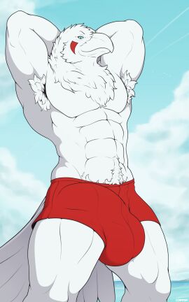 abs anthro armpit_hair avian balls balls_outline beak biceps big_bulge bird blue_eyes body_hair bulge clothed clothing cloud corrsk corrsk_(character) corvid corvus_(genus) detailed_bulge digital_media_(artwork) facial_markings feathers genital_outline genitals head_markings hi_res leucistic looking_at_viewer male markings muscular muscular_anthro muscular_male oscine outside passerine pecs penis penis_outline pubes raven red_markings sky smile solo tail topless tuft white_body white_feathers