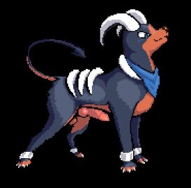 4_toes animal_genitalia animal_penis animated balls canid canine canine_genitalia canine_penis claws digital_media_(artwork) dipstick_toes erection feet feral generation_2_pokemon genitals horn houndoom kerchief kerchief_only knot male male_only mostly_nude neckerchief neckerchief_only neckwear nintendo paws penis pixel_(artwork) pixel_animation pokemon pokemon_(species) smug smug_face solo solo_male spade_tail sprite_animation sprite_art tail throbbing throbbing_penis toe_claws toes transparent_background yutz_(artist)