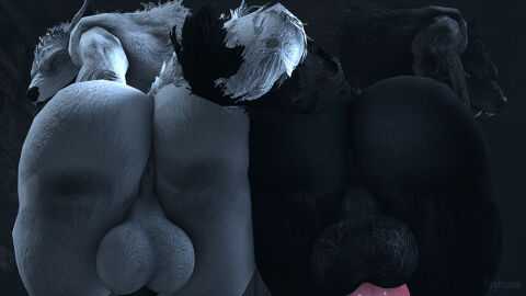 2boys animal_genitalia animal_penis anthro anus ass backsack balls ballsack bethesda_game_studios big_ass big_balls big_butt canid canine canine_genitalia canine_penis duo fangs fur furry furry_only gay genitals inviting looking_at_viewer looking_back male male/male male_only mammal microsoft mythological_canine mythological_creature mythology nude penis presenting presenting_ass presenting_butt rayhuma skyrim skyrim_werewolf tail teasing teeth the_elder_scrolls werecanid werecanine werecreature werewolf wolf