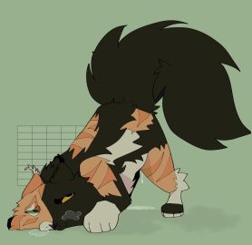 1girls 2024 big_tail black_tail bodily_fluids calico_cat cat chimera cub domestic_cat ear_tuft felid feline felis female female_focus female_only feral feral_only fluffy_tail genital_fluids green_background green_eye heterochromia horny knifeboiz looking_back moonpaw_(warriors) multicolored_body multicolored_fur no_sex simple_background simple_shading solo three-tone_body three-tone_fur tricolor_fur warriors_(book_series) warriors_(cats) yellow_eye young