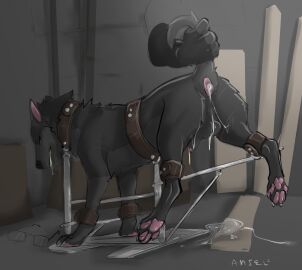 amiel_(artist) anal anal_sex anthro anus balls big_penis black_body black_fur bondage canid canine canis digital_media_(artwork) domestic_dog duo erection feral feral_penetrated fur gay genitals hi_res huge_cock human_on_feral human_penetrating_feral humanoid_genitalia humanoid_penis interspecies male male/male male_on_feral male_only male_penetrated male_penetrating male_penetrating_male mammal penis sex zoophilia