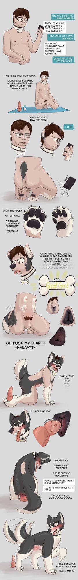 absurd_res anatomically_correct anatomically_correct_genitalia anatomically_correct_vulva animal_genitalia animal_vulva anthro breasts canid canine canine_genitalia canine_vulva collar dialogue dildo electronics english_text eyewear female feral fur fur_growth gender_transformation genitals glasses good_girl growth hi_res human_to_feral in_heat knot knotted_dildo long_image male mammal masturbation mtf_transformation multi_breast penetration phone profanity sex_toy snout snout_growth solo species_transformation tail tail_growth tall_image teats text thebaseballfur therazzdazzler11 transformation transformation_sequence vaginal_masturbation vaginal_penetration