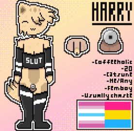 .3 1boy 1femboy 1furry :3 alternate_version_available androgynous animal_genitalia blush bra cat_boy cat_ears catboy catsune chastity_cage chastity_device close-up close_up closed_eyes english_text femboy femboy_only flat_chastity_cage fox_tail full_body fur furry furry_only genitals hand_warmers harry_(sh4rdz) kitsune_tail male male_only markings one_eye_covered original original_character pansexual_flag penis pixel_(artwork) pixel_art pride_flag pronouns reference reference_sheet self_insert self_upload sh4rdz_(artist) small_penis tagme text thick thighhighs thighs