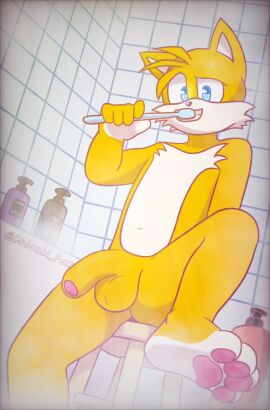 1boy 2_tails absurd_res animated animation anthro balls bath bathroom biped blush brushing_teeth canid canine chionki foreskin fox genitals getting_bigger getting_caught getting_erect glans hi_res humanoid_genitalia humanoid_penis male male_only mammal miles_tails_prower multi_tail pawpads paws penis sega shy solo sonic_(series) sonic_the_hedgehog_(series) tagme tail tails_the_fox video