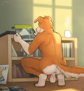 anthro anus ass backsack balls ballsack brown_body brown_fur canid canine canis casual_nudity crouching detailed_background domestic_dog flaccid floppy_ears flugeldog fur genitals hi_res humanoid_genitalia humanoid_penis male mammal penis record_player solo vinyl_record