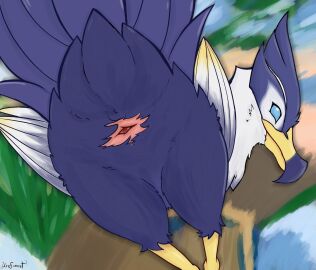 animal_genitalia avian avian_butt beak bird cloaca feathers female feral genitals gull hi_res lari larid looking_at_viewer presenting presenting_cloaca raised_tail simple_background solo tail urefunest