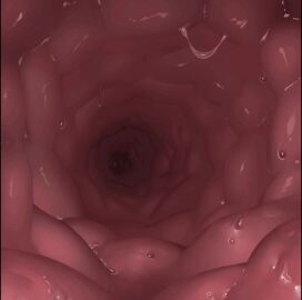 2d continuous_ejaculation cum_down_throat cum_in_stomach cum_inside cumming_while_penetrating deepthroat endless_cum endless_orgasm gigantic_cock gigantic_penis huge_ass huge_balls infinite_cum penny_(pokemon) pokemon pokemon_(species) pokemon_character pumping_cum stomach_bulge stomach_deformation tagme video