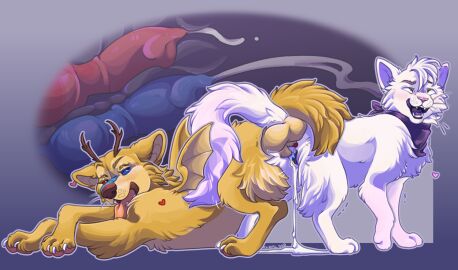 2_penises 4_eyes anal anal_sex ass_to_ass bodily_fluids canid canine canis cross-eyed cum cum_inside diphallia diphallism domestic_cat domestic_dog double_penetration duo felid feline felis female feral feral_on_feral feral_only feralfather fluffy fluffy_tail genital_fluids genitals hi_res internal knotting leaking_cum male mammal multi_eye multi_genitalia multi_penis penetration penis pussy tail vaginal_penetration wings x_ray_view