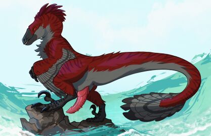 animal_genitalia anus black_claws claws dakotaraptor detox_(detoxtheraptor) dinosaur dromaeosaurid erection feathers feral genital_slit genitals grey_body grey_feathers grin hi_res looking_at_viewer male male_feral orange_sclera owishka penis pink_penis prehistoric_species red_body red_eyes red_feathers reptile rock saurischian scalie sharp_teeth smile solo tail teeth theropod water wave