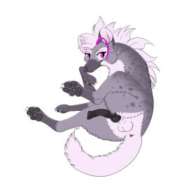 animal_genitalia anus dark_violet_(character) female feral genitals grey_body hi_res hyena knot knotted_pseudo-penis kokoad looking_at_viewer lying male mammal pawpads paws penis pseudo-penis purple_eyes queenkoko simple_background solo tagme white_background