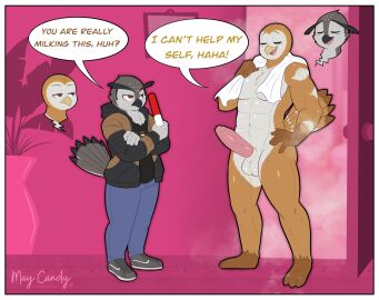 absurd_res avian bird body_swap erection gay genitals hi_res hootbias male maybilecandy owl penis